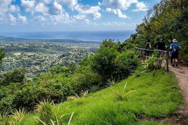 St Lucia Tet Paul Nature Trail and Sulphur Springs Tour