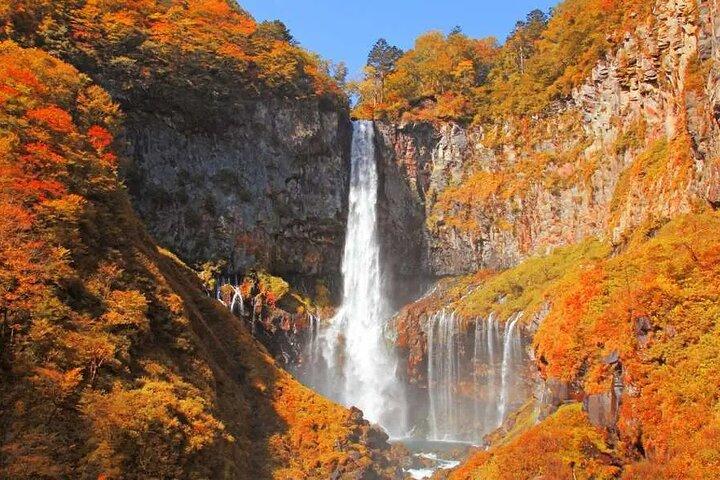 Tokyo Nikko Day Tour
