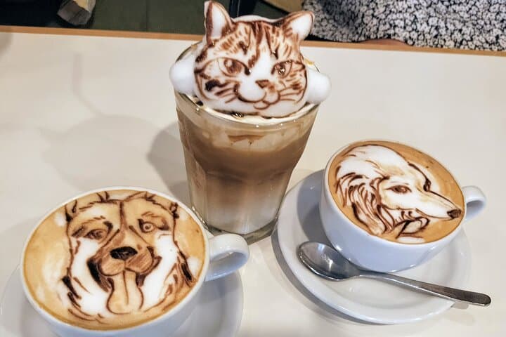 Harajuku Private Tour: Kawaii Fashion & Animal Cafe Included