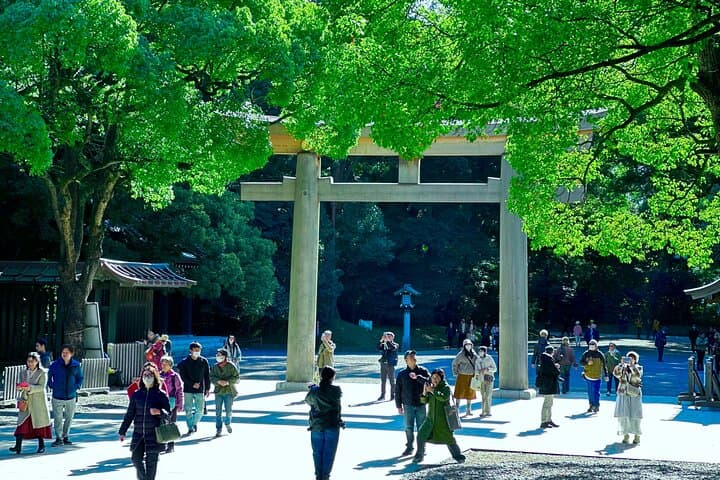 Tokyo: Meiji Shrine and Shinto Culture Walking Tour