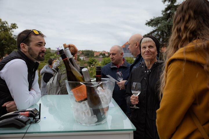 Full-Day Tokaj UNESCO World Heritage Site Private Wine Tour