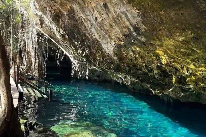 Turtle Akumal Adventure! Tulum Ruins and Cenote from Riviera Maya