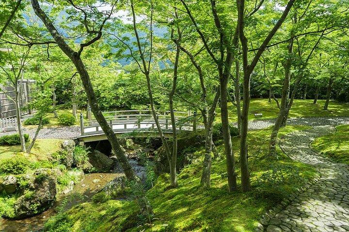 Hakone hot spring day trip from Tokyo with private driver