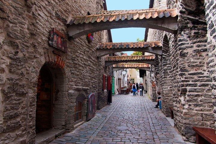 Tallinn Private Half Day Tour from Cruise Port