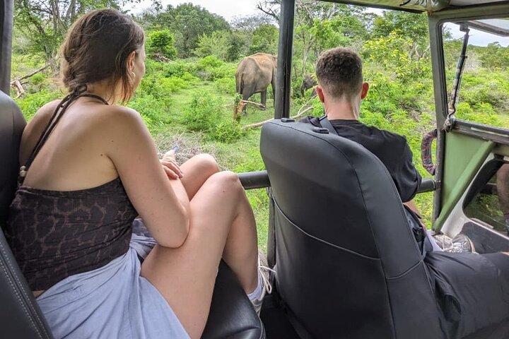 Yala National Park Safari Tours