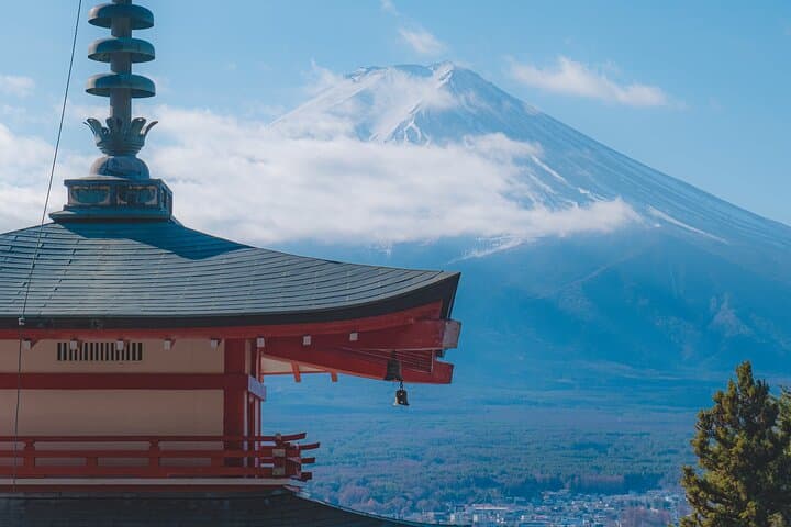 Mount Fuji Kawagoe and Hikawa Shrine Day Trip
