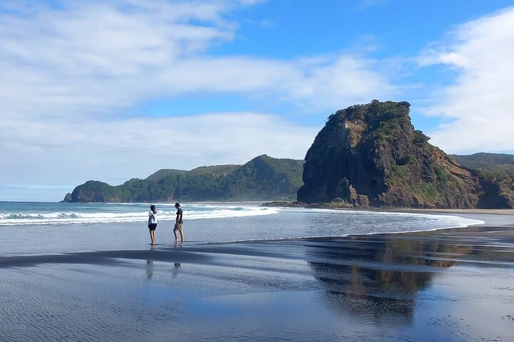 6 Hours Sightseeing Tour in Auckland