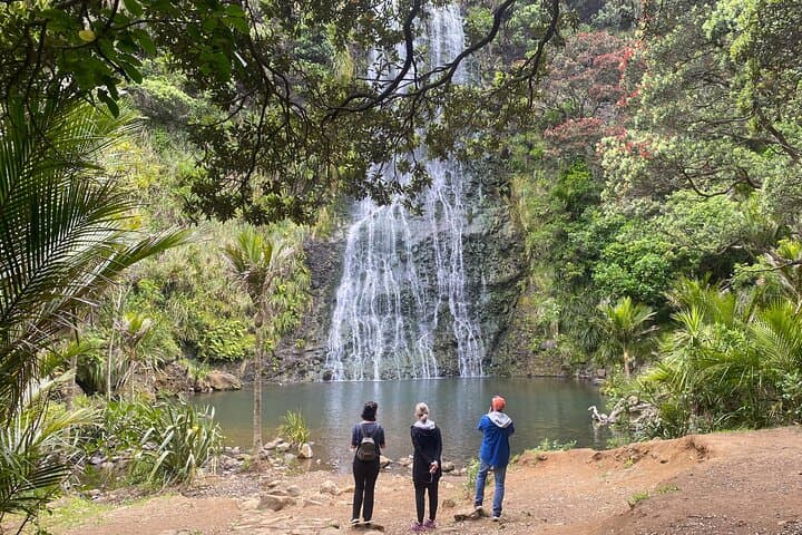 6 Hours Sightseeing Tour in Auckland