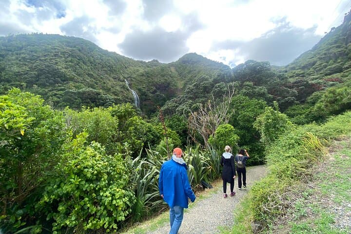 6 Hours Sightseeing Tour in Auckland