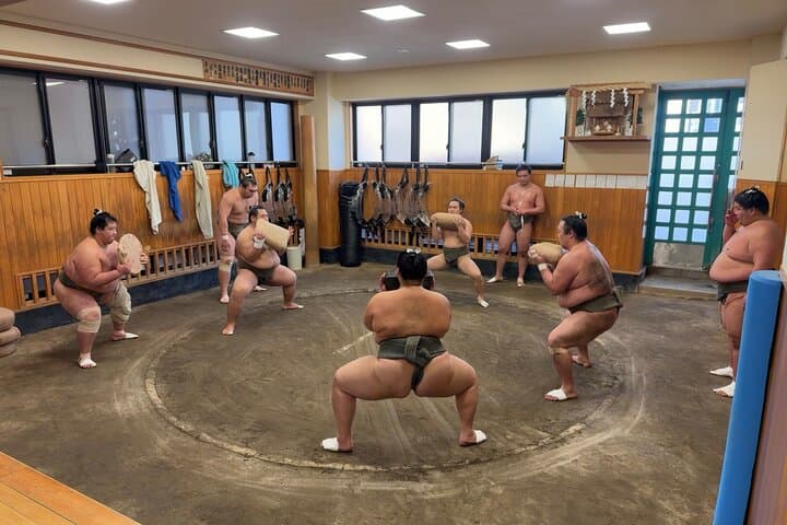Morning Sumo Training Observation Tour in Tokyo