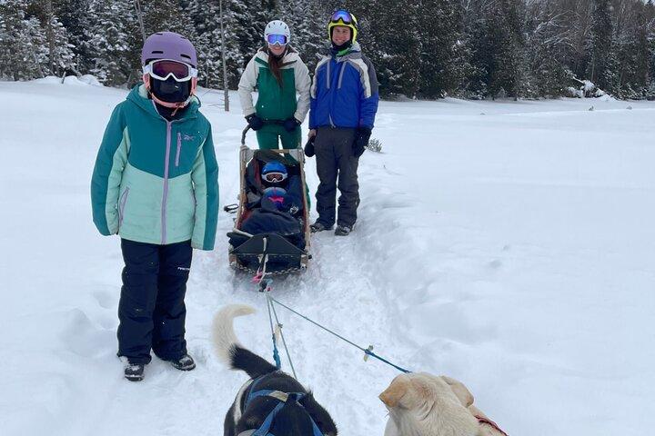 Dogsled Diable Adventure in Mont-Tremblant