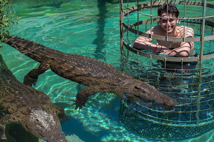 3-Days -Attraction:Crocodile Diving Cage & Cape Point & Wine