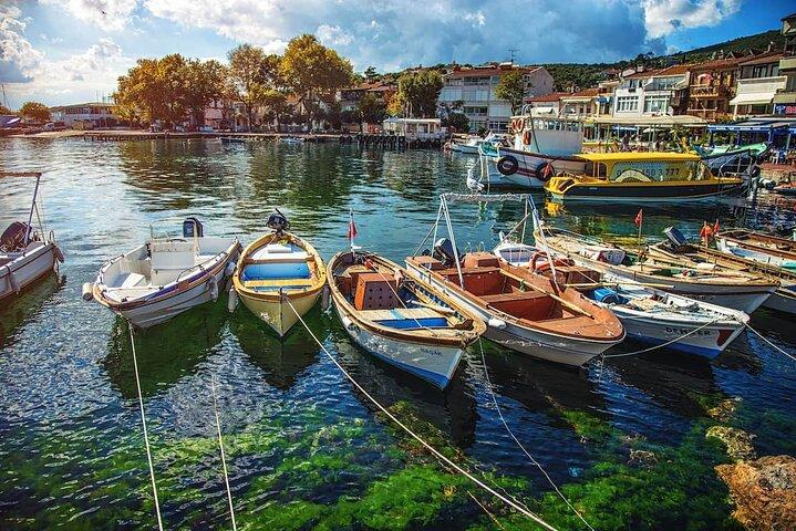 Istanbul Full Day Princess Islands Tour with Lunch