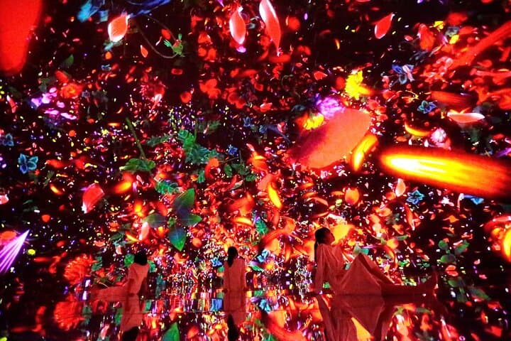 Team Lab Planets Tokyo Timed Entry Admission Ticket