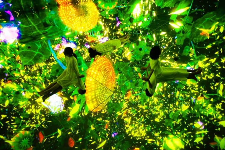 Team Lab Planets Tokyo Timed Entry Admission Ticket