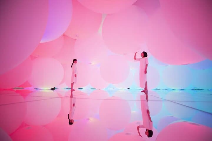 Team Lab Planets Tokyo Timed Entry Admission Ticket