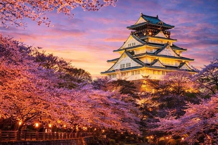 Osaka and Nara Customised World Heritage Private One Day Tour