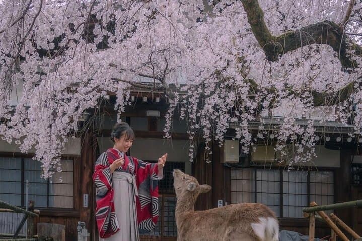 Osaka and Nara Customised World Heritage Private One Day Tour