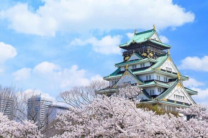 Osaka and Nara Customised World Heritage Private One Day Tour