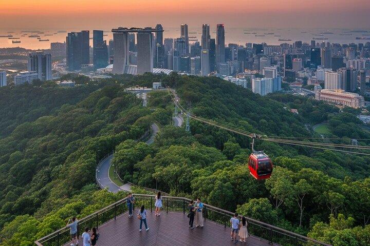 Singapore Culture Tour with Botanic Garden