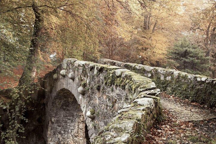 Game of Thrones - Tollymore Forest Trek