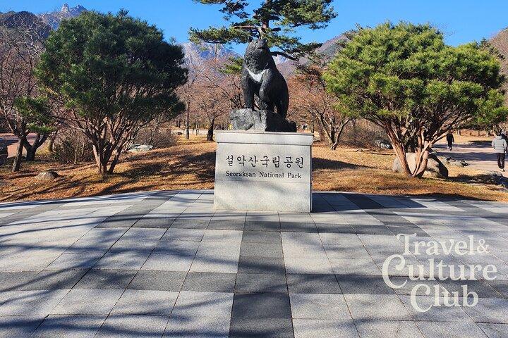 Mt Seorak and Naksansa Temple One Day Private Tour from Seoul