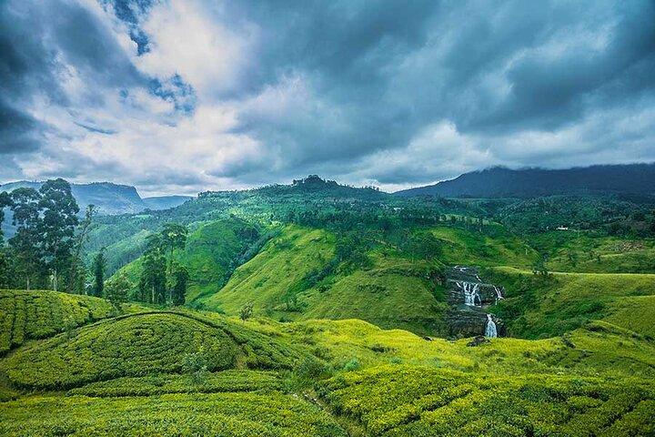8 Day Private Sri Lanka Highlights Tour