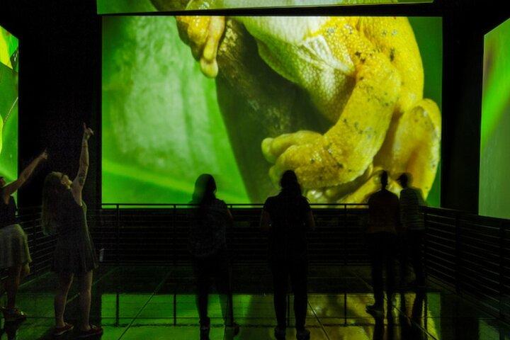 Beautiful BioMuseo - Museum of Biodiversity