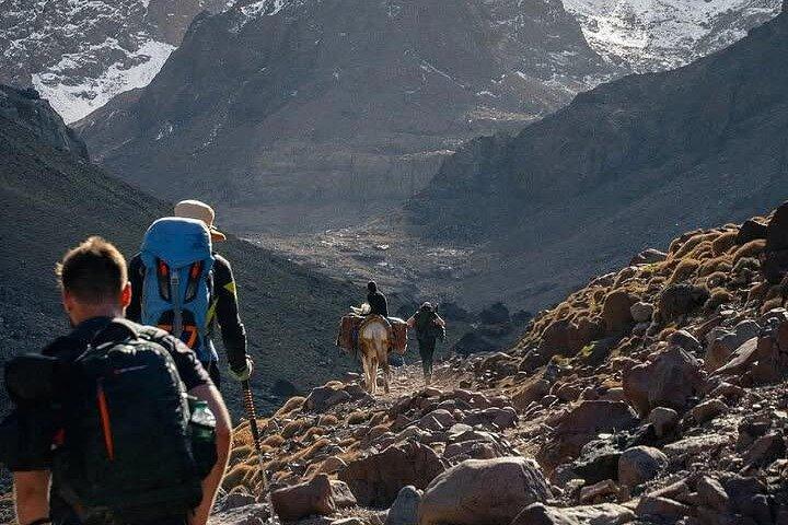 Atlas Mountains: Hiking day trip from Marrakech to Tedli Summit