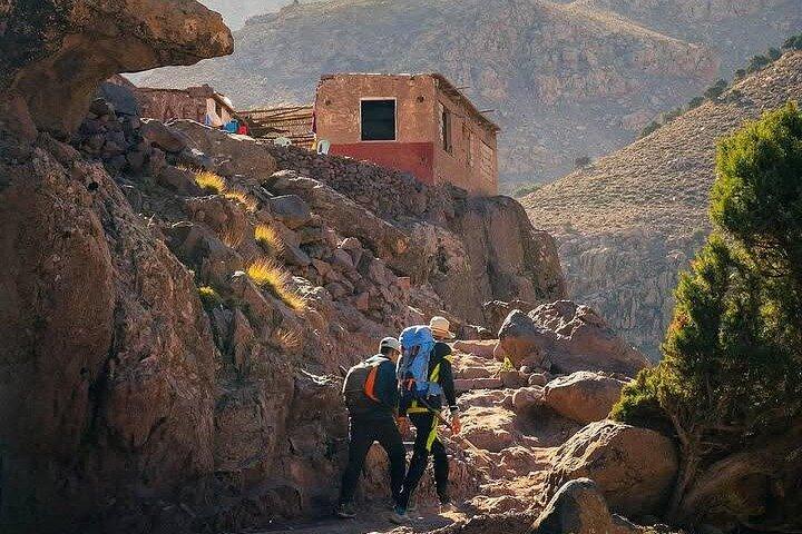 Atlas Mountains: Hiking day trip from Marrakech to Tedli Summit