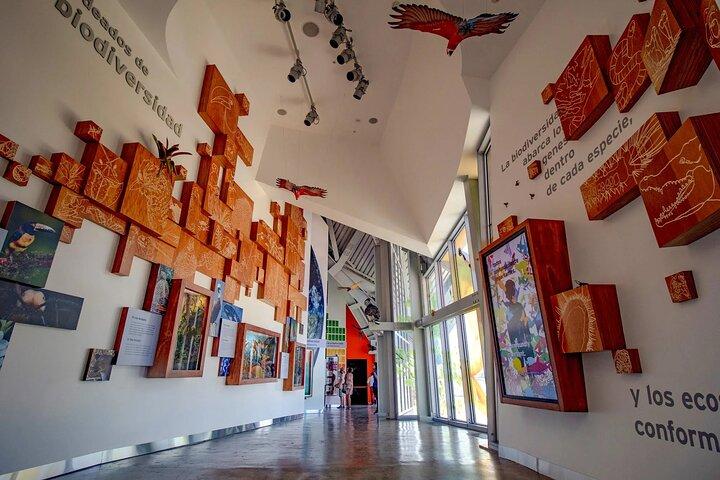 Beautiful BioMuseo - Museum of Biodiversity