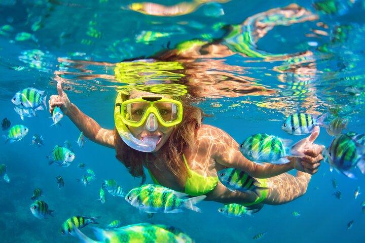 Sharm El Sheikh: Ras Mohammed Snorkeling & Top Sights