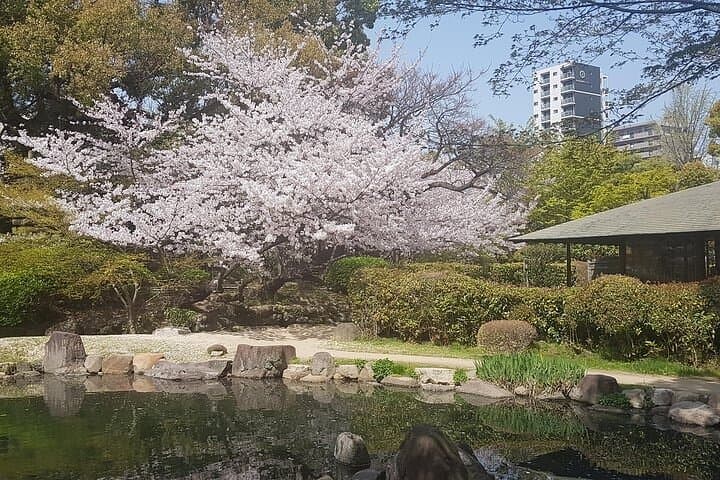Full Day Private Osaka Tour with Local Highlights and Hidden Gems