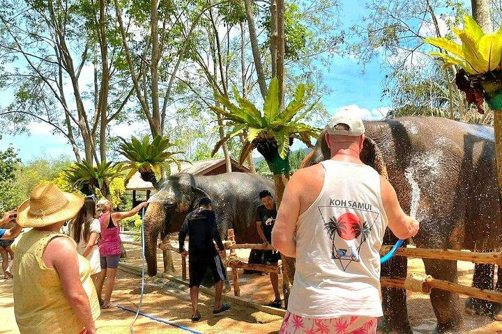 Elephant Nature Care, the largest elephant sanctuary on Koh Samui