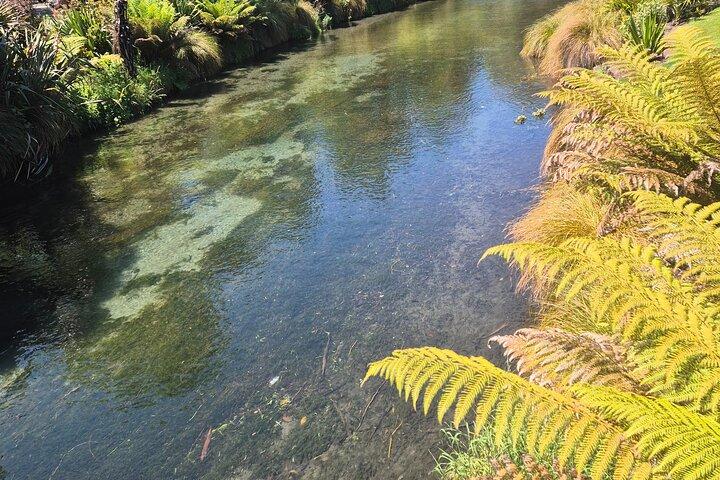 Half Day Christchurch Scenic Private Tour with Local Guide