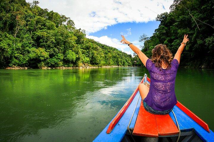 Manu National Park 4-Day Eco Tour from Cusco
