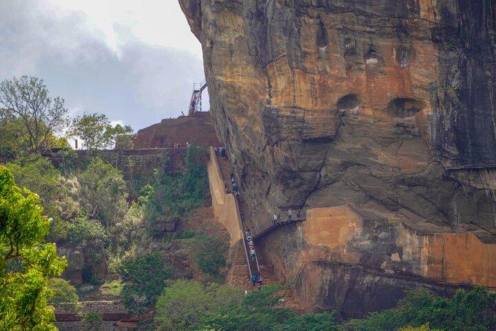 Sigiriya Hike & Minneriya Safari Private Full Day Tour