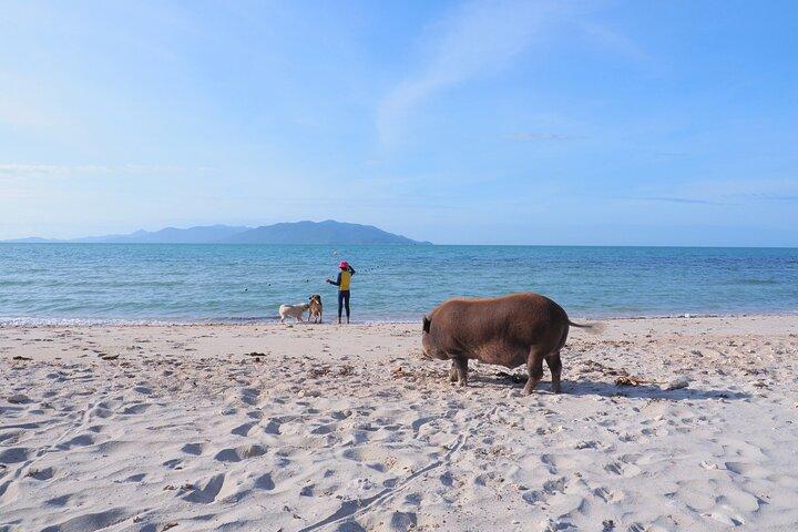 Koh Tan and Pig Island Tour with Longtail Boat Sunset