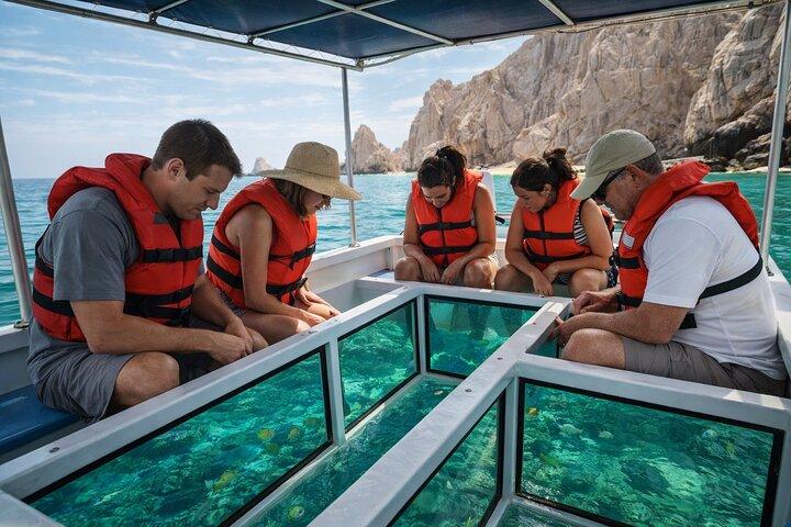 Cabo Glass Bottom Boat Arch Tour for Cruise Passengers