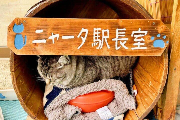 Fukuoka:Dazaifu, Yufuin Village, Beppu Ropeway, Kamado Jigoku