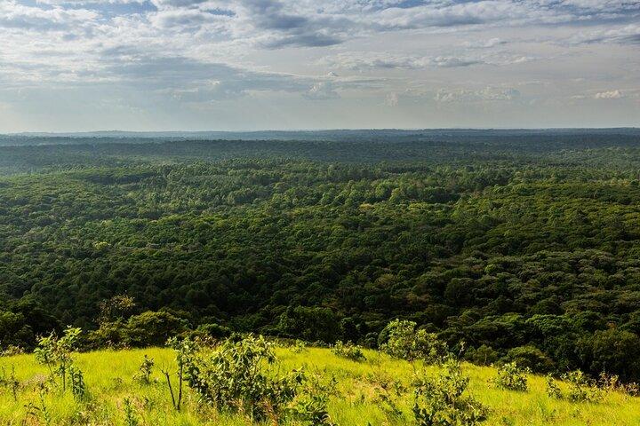 Bird Watching Expedition in Kenya