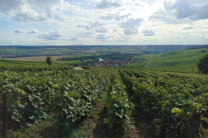 Champagne Day Trip from Paris with 7 Tastings Prestigious Houses