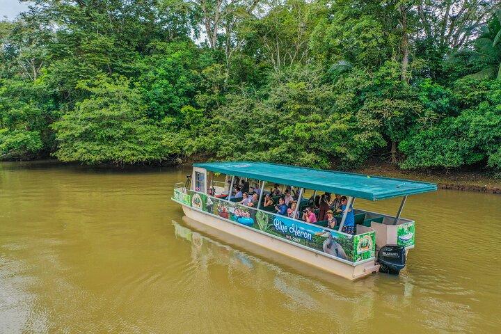 Caño Negro Wildlife Boat Safari from La Fortuna (Full-Day Tour)