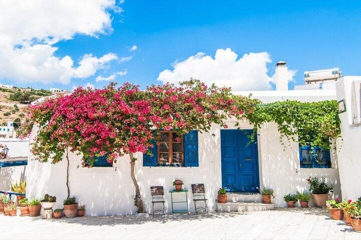 Private Paros Tour, Village of Lefkes - Naousa with Pie Tasting