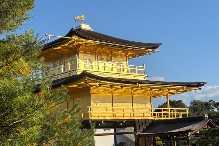Kyoto&Nara Day Tour | English Guide & Private Vehicle