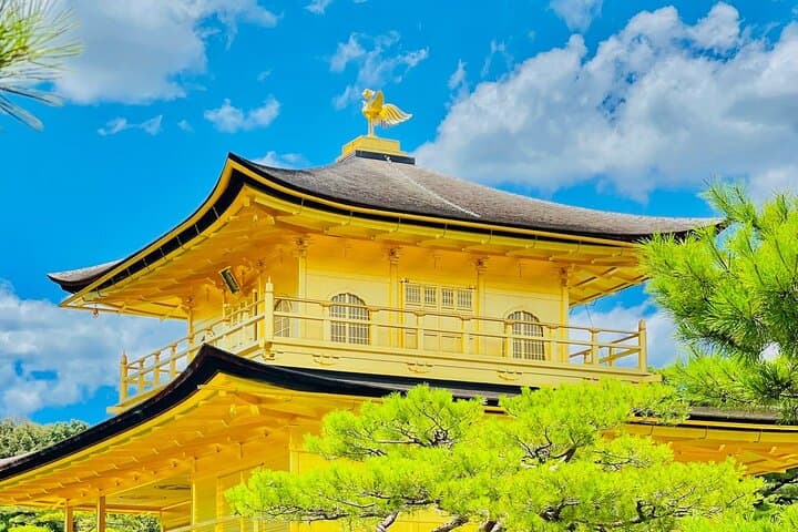 Kyoto&Nara Day Tour | English Guide & Private Vehicle