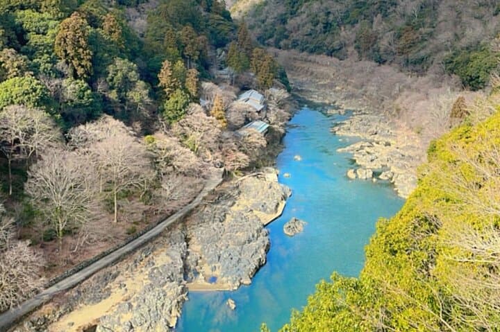 Kyoto&Nara Day Tour | English Guide & Private Vehicle