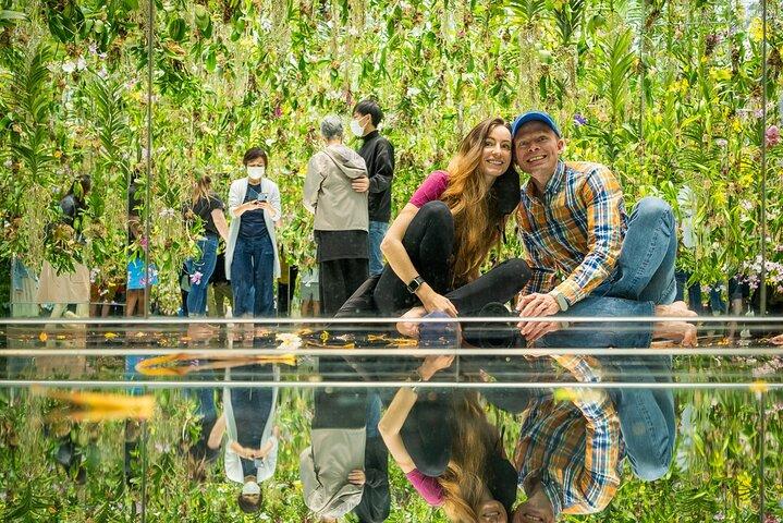 Tokyo:TeamLab Private Transfer with Hotel Pickup & Drop-off