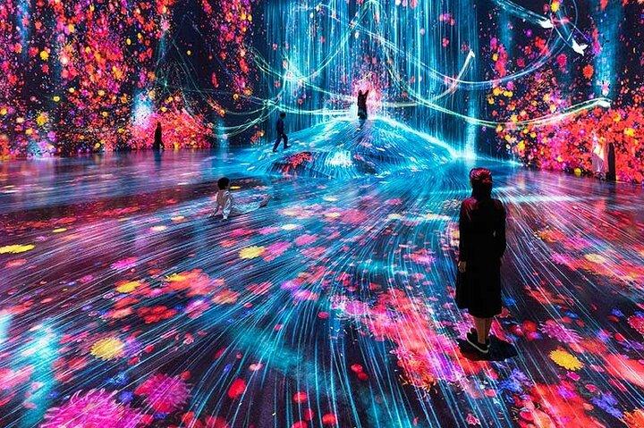 Tokyo:TeamLab Private Transfer with Hotel Pickup & Drop-off
