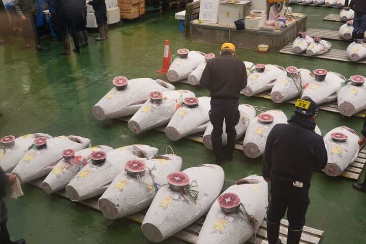 Morning Market Adventure: Toyosu & Tsukiji with Tuna Auction